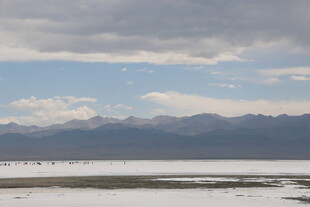 广阔盐湖与远处山峦景观