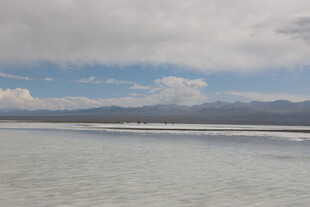 广阔盐湖与远处山峦景观