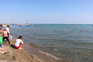 海边游玩的欢乐人群