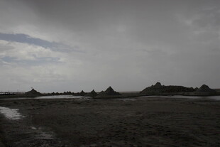 阴沉天空下的广袤原野