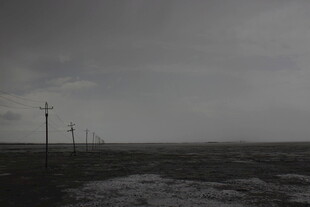 阴沉旷野中的电线杆