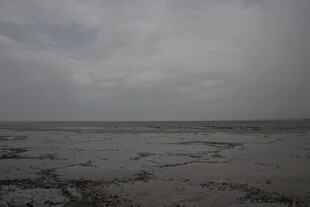 阴沉天空下的广袤滩涂