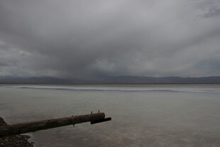 阴沉天空下的孤寂湖岸