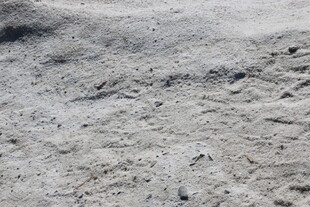 月球表面的坑洼地貌