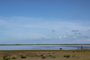 广袤草原上的宁静水域