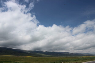 蓝天白云下的广袤原野