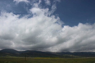 蓝天白云下的广袤原野