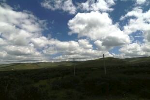 蓝天白云下的开阔原野