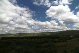 蓝天白云下的广袤原野