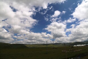 蓝天白云下的广袤原野