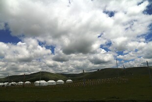 草原上的蒙古包与蓝天白云