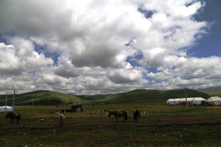 草原风光与蒙古包