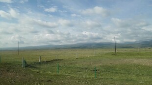 草原风光 广袤天地