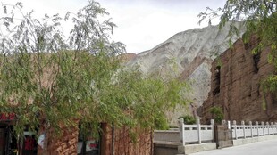 山间小屋旁的葱郁绿植