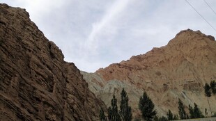 壮丽山景与稀疏树木