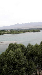 湖畔绿树与远山景致