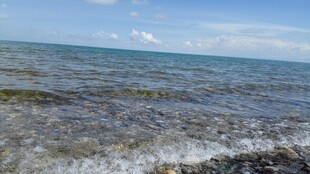 海边浪花翻涌的美丽景致