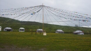 草原上的帐篷与电线景观