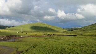 广袤绿野 云下自然风光