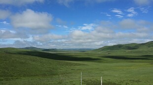 广袤草原与蓝天美景