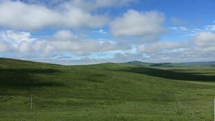 广袤草原与蓝天白云