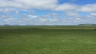 广袤草原 蓝天白云美景