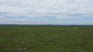 广袤草原上的开阔天际线