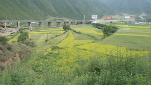 乡村田野间的铁路风景