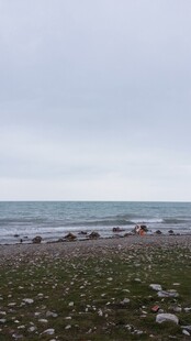 海边草地的悠闲景象