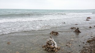 海边沙滩上的礁石景观