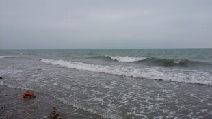 海边浪花翻涌的宁静画面