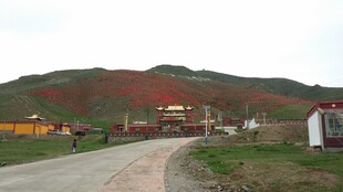 山间村落公路风景