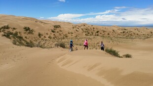 沙漠徒步者的探索之旅