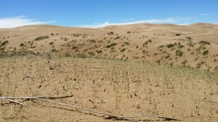 广袤荒凉的干旱土地景观
