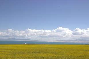 草原蓝天间的壮丽风光
