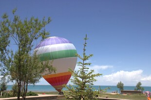 彩色热气球立于开阔场地