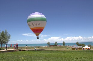 蓝天草地间的彩色热气球