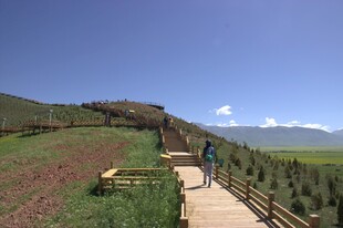 山间步道上的悠然漫步