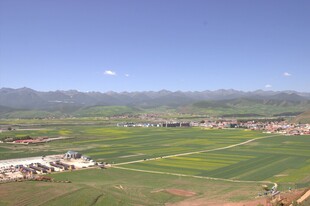 田园风光的广阔田野景色