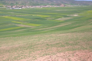 田园风光中的多彩农田