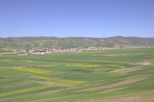 田园风光 多彩田野景色