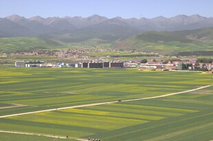 田园风光 广袤田野与远山