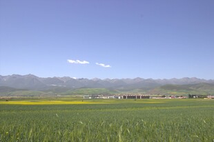 广袤田野与远处山峦风光