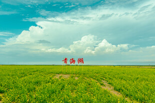 绿色田野上的红色雕塑
