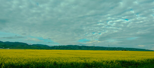 广袤田野上的多云天空