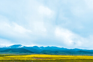 草原花海与远山美景