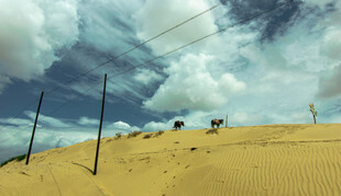 沙漠中矗立的黑色电线杆
