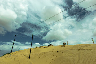 沙漠上的电线与蓝天白云