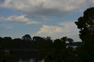 湖畔树林间的天空景致