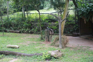 户外林间的休闲场景